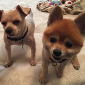 Meet your Posher, Jon